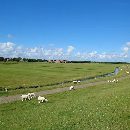 De Oostkamer; Eiland Appartement Naast Natuurgebied Boschplaat 우스터렌드 외부 사진